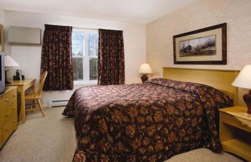 Beautiful hotel in Vermont Smugglers Notch 2BD near Disc Golf Center - Foto 8