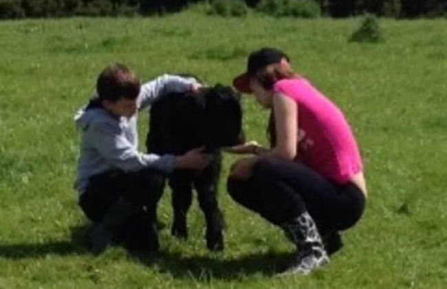 The Mill House at Cwmiar Farm - Relaxing Holidays - Photo 9