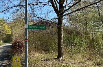 Natur Pur - Waldurlaub im Tiny House - Photo 3