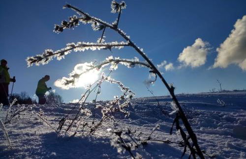 Ferienhaus Herzogenreuth - Foto 19
