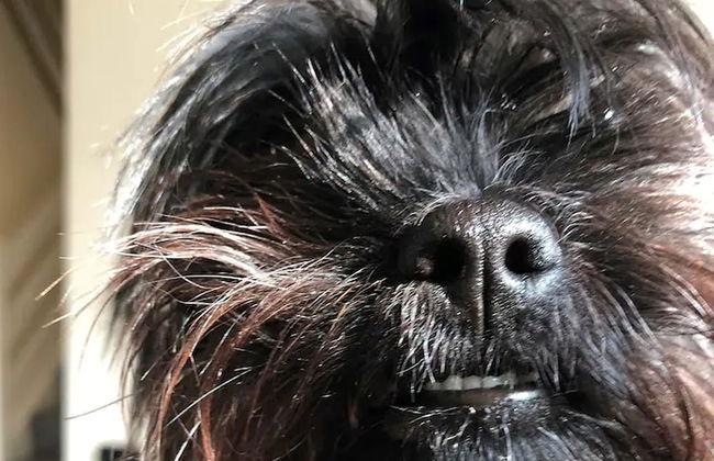 Detached 3 Bed House, Ideal for Long Stays & Pets - Foto 16