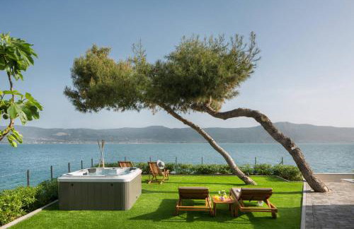 Olive Hill House - ground floor - Photo 4