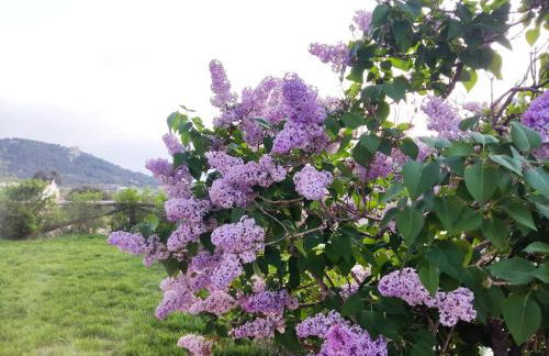 ENTRESIERRAS Apartamentos rurales con chimenea, barbacoa y espacio para eventos - Foto 25