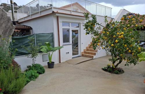 Rosa House - Photo 40