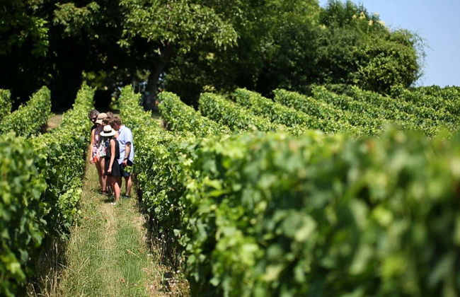 Saint Emilion Tour + Wine Tasting in a Winery - Foto 5