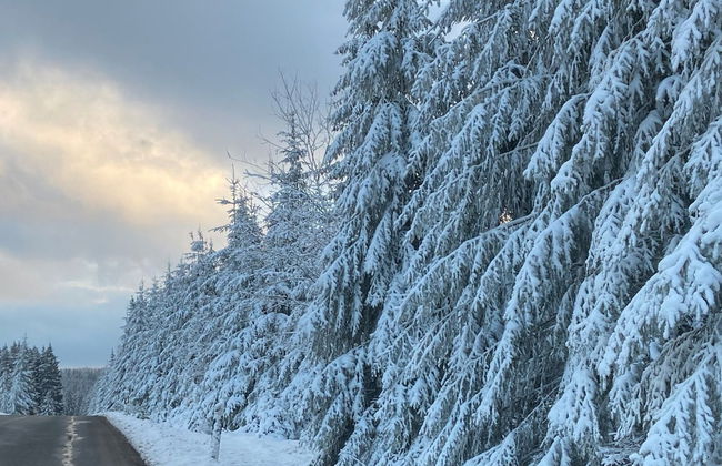 Appartement im Fuchsbau in Bad Sachsa - Foto 29