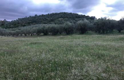 Monte de Stª Margarida - Foto 42