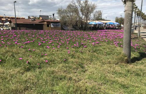 3 room Penthouse Higuericas Playa - Foto 40