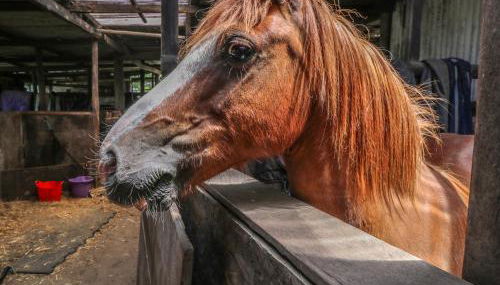 Hill Farm Cottage - Foto 5