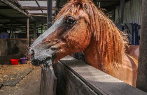Hill Farm Cottage - Photo 5