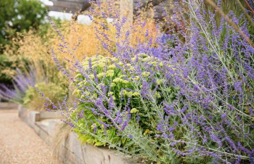 The Cart Shed - Foto 25