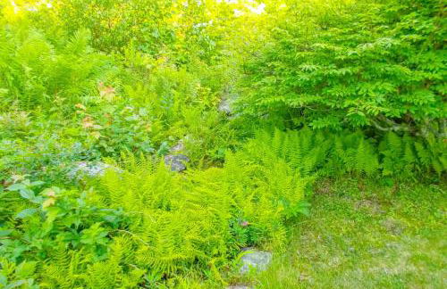 Pigeon Hill Retreat - Photo 6