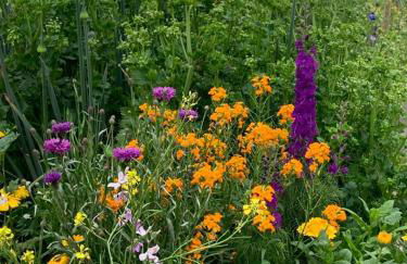 Auszeit am Haff Ferienhäuser - Foto 25