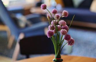 Domki Zalesie - Foto 26