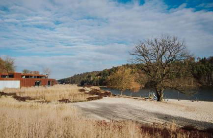 Familienurlaub im Wald am Twistesee Ferienhaus 105 nur 300 m zum See - Grill & Waschmaschine & hundefreundlich - Twistesee-Ferien - Foto 15