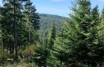 Apartment Appartement mit Blick auf das Wasser by Interhome - Foto 22