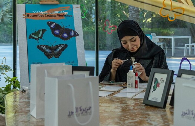 Bilhete de entrada para a Ilha Sharjah Al Noor - Foto 8