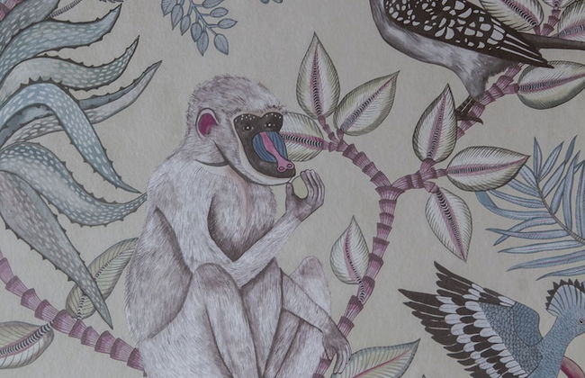 Ca' della Scimmia - Foto 67