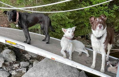 Escape to Tree House Island Life - Foto 17