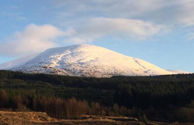 1 Bed Cabin in the Magical Galloway Forest Park - Photo 13
