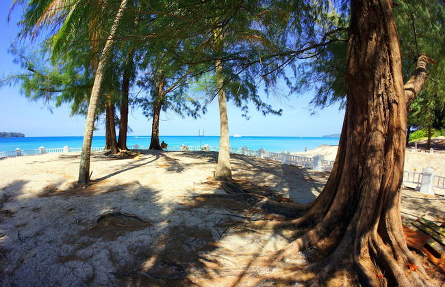 Casuarina Shores - Foto 75