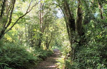 Rural Farm Stay with 6 cottages, 4 miles to Barnstaple, Pet friendly, Daily animal experiences, Outdoor heated pool, Games barn, Free fast WiFi, Free parking - Foto 10