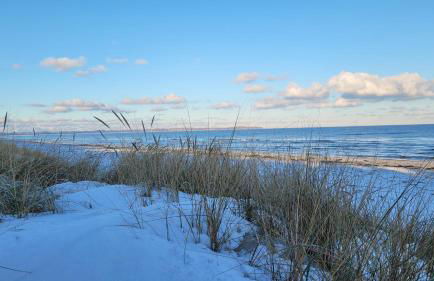 Sonneninsel & Ankerplatz Wiek mit eigener Sauna - Foto 47