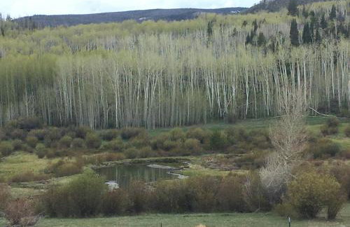 Wapiti Retreat at 22 West Cabins and Recreation - Foto 36