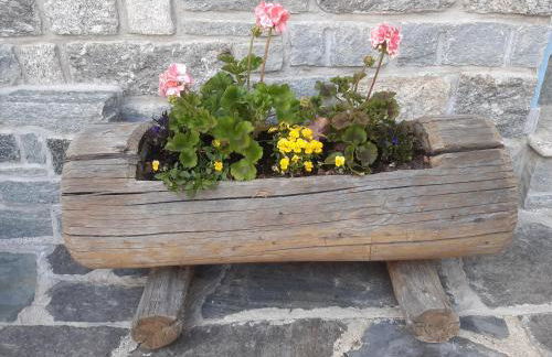 Residence Fior di Roccia - Foto 10