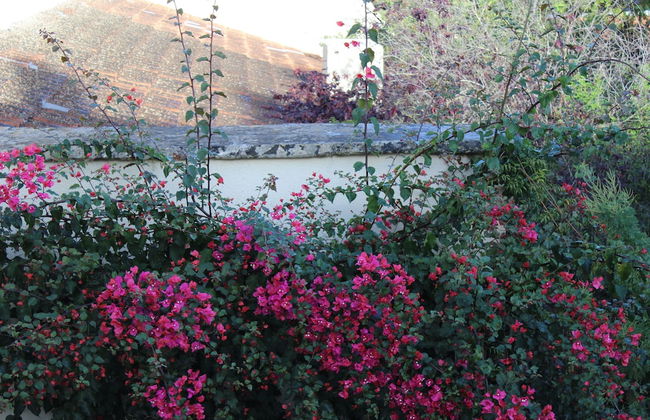 Masseria Pagani - Photo 65