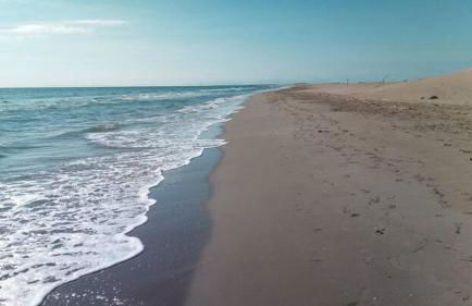 Flamenco&roof - Foto 31