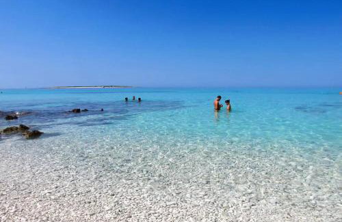 Apartment Ana - Zaglav Dugi Otok - Foto 48