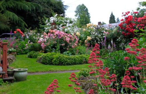 Come Home To A Place You've Never Been Before - Foto 23