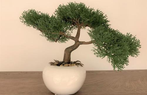 Villa Fani - Apartments and Rooms - Photo 64