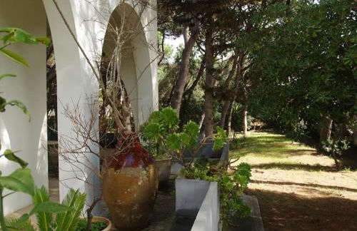 Villa Emma - Foto 54