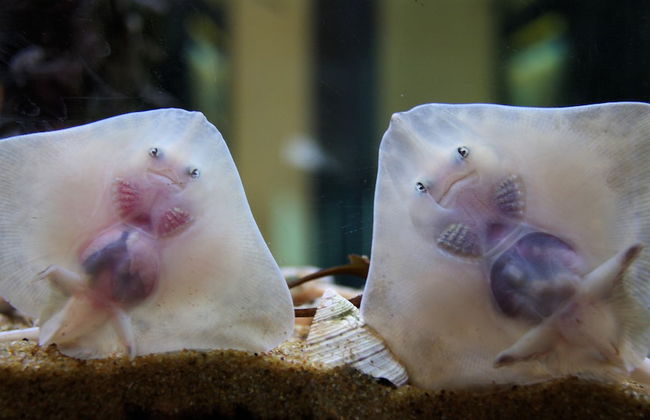 Buttermere Cottage - Foto 17