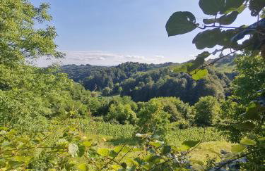 Family friendly house with a parking space Tuheljske Toplice, Zagorje - 20825 - Foto 15