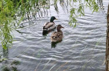 House Notturno - Photo 34