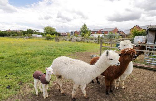 Lavender Cottage - Foto 26