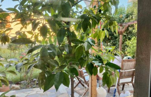 ColoR Living - loft & yard - Foto 48