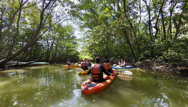 Damas Island Kayak Tour - Foto 4