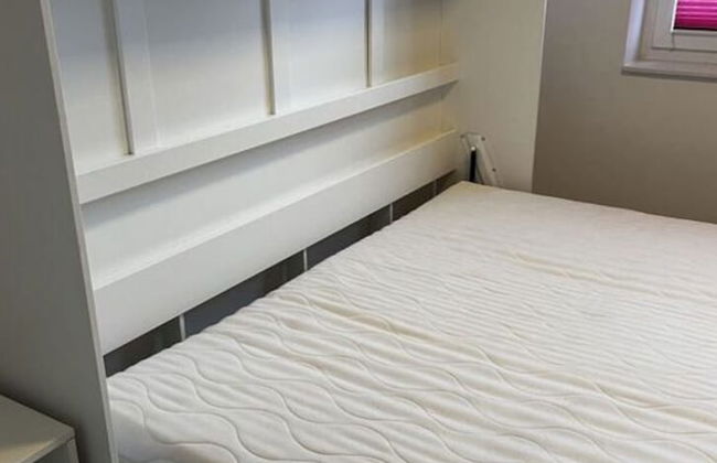 Pink Cow Modern Retreat - Photo 3