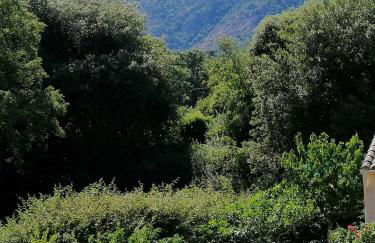 Sarrola-Carcopino Gîte en Pierre - Foto 17