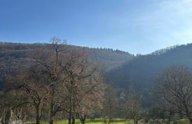 Ferienhaus Löwenherz - Foto 11