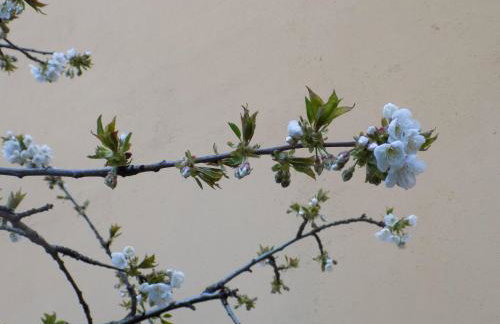 Casa Rural Generoso - Foto 75