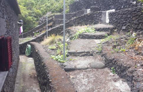 Adega dos Terceira - Photo 5