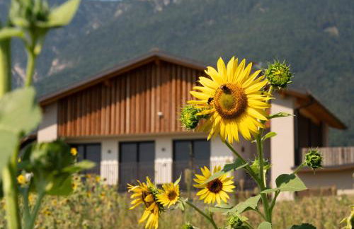 Gutshof Ebner - Foto 60