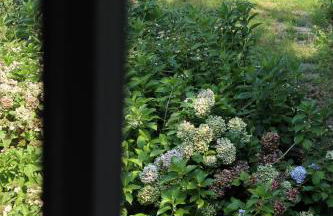 Natura tra bosco e lago - Foto 34