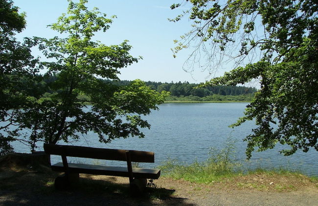Apartment With Terrace and Pool in the Garden - Foto 26