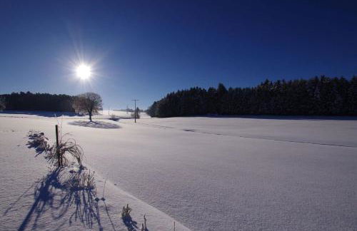 Holzhaus Lugerhof - Foto 46